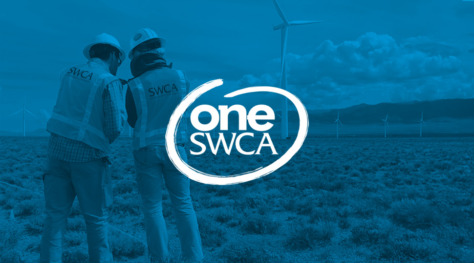 SWCA employees evaluating a windpower project with wind turbines in the background in Flagstaff, Arizona