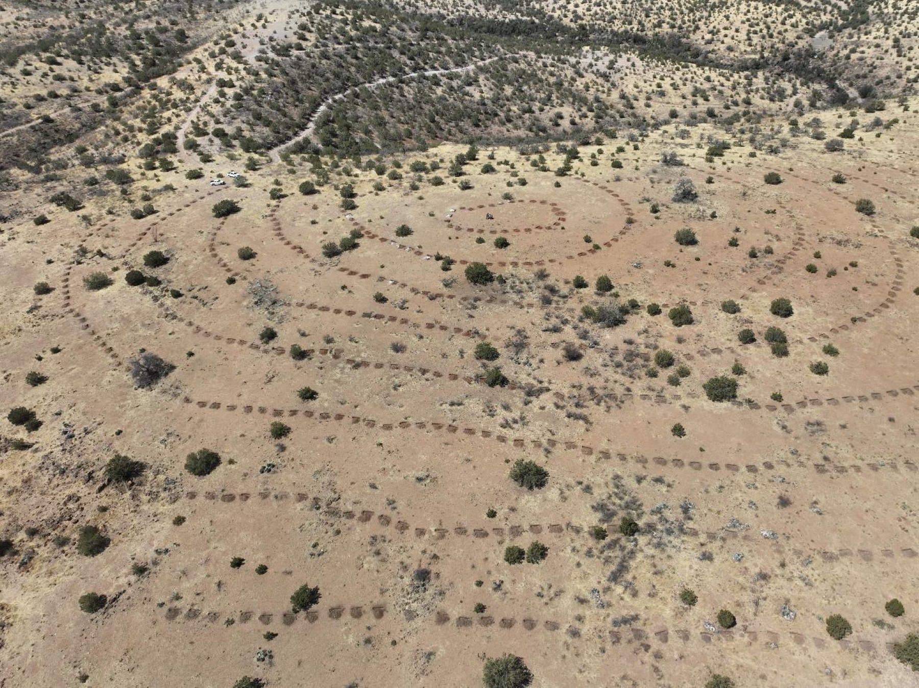 A dirt field with some vegetation scattered throughout with holes dug out starting in a small circle and expanding circles encircling the previous circle.