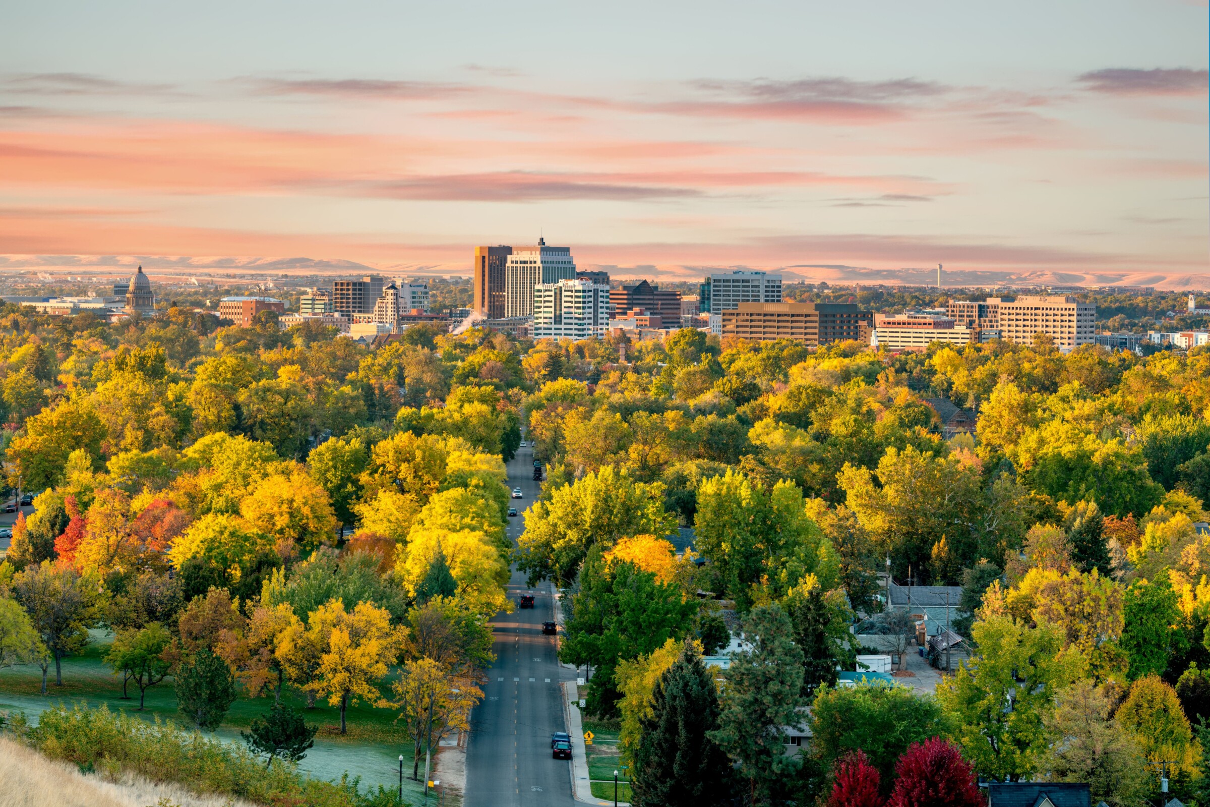 Aerial view of Boise downtown with tress all around the streets.