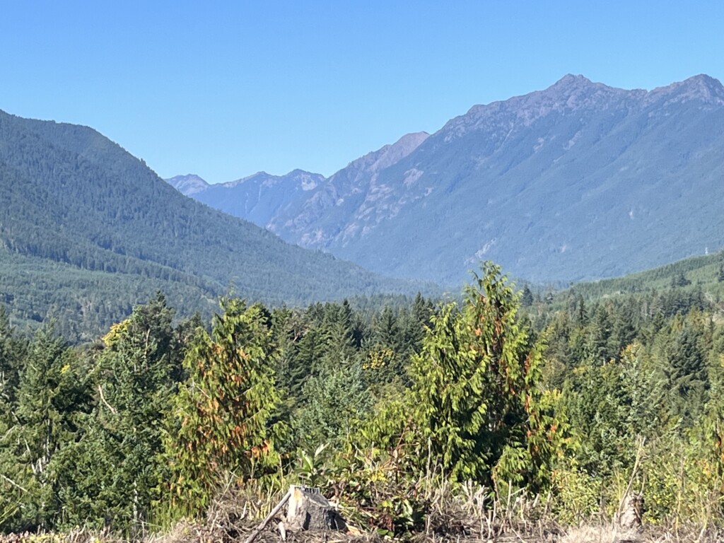 A valley being shown between two mountains with trees and vegetation in between and on the mountains.