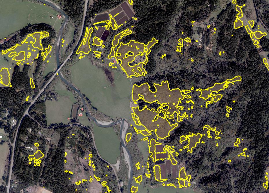 A satellite map view of the gorse boundaries. 