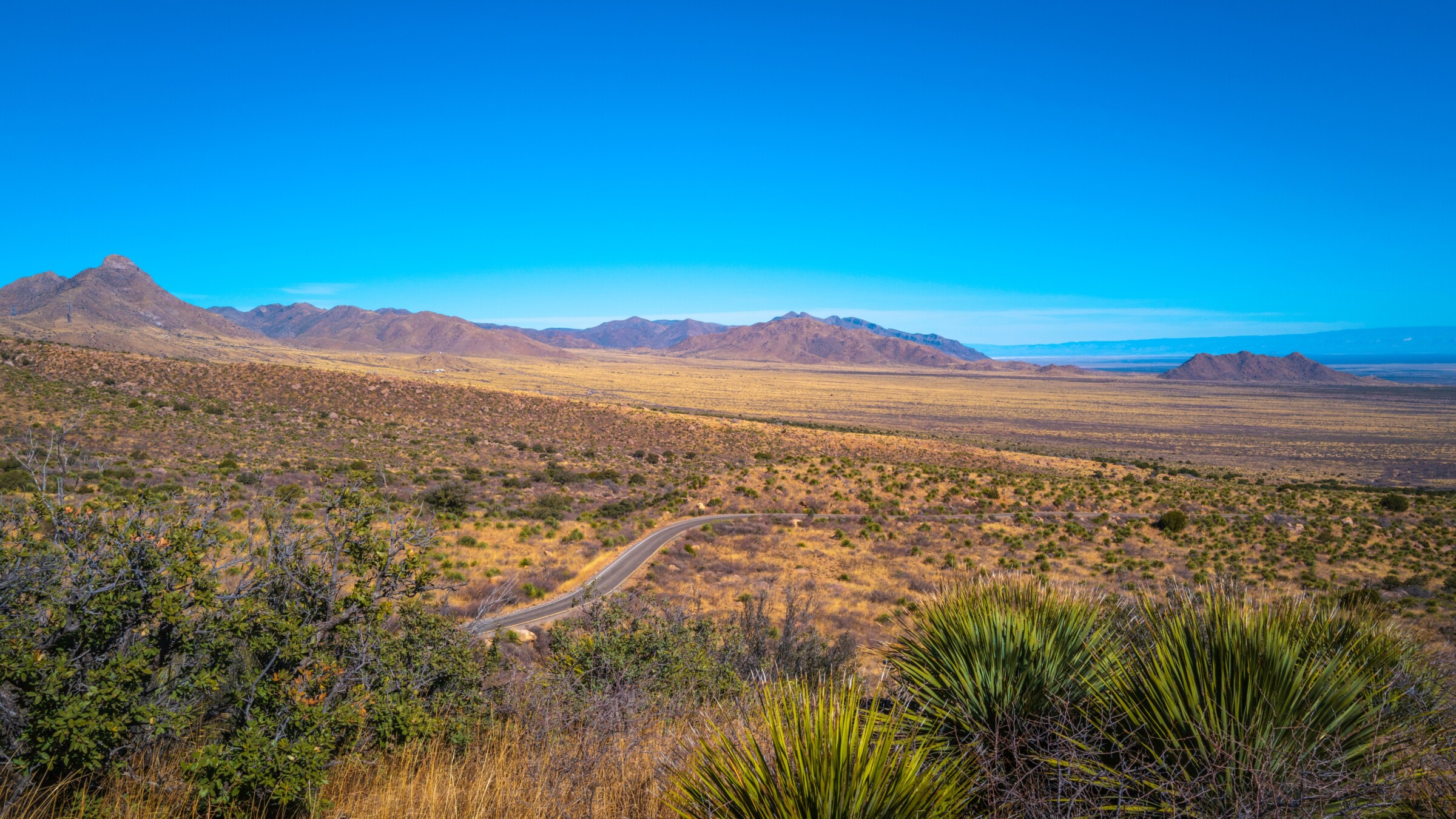A view of a desert land and organ mountains int he background. The desert shows vegetation growing and winding road.
