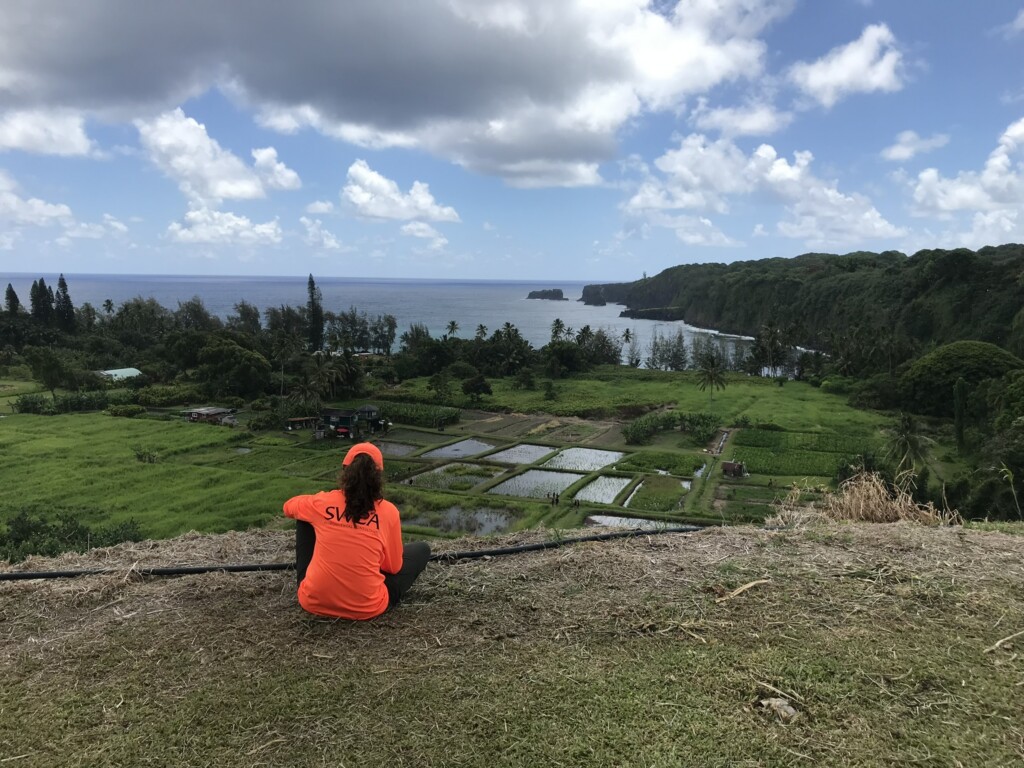 SWCA staff member takes a break during a survey at HDOT’s Keʻanae Baseyard on the island of Maui. The shoreline is visible and patches of water and grass are seen below.