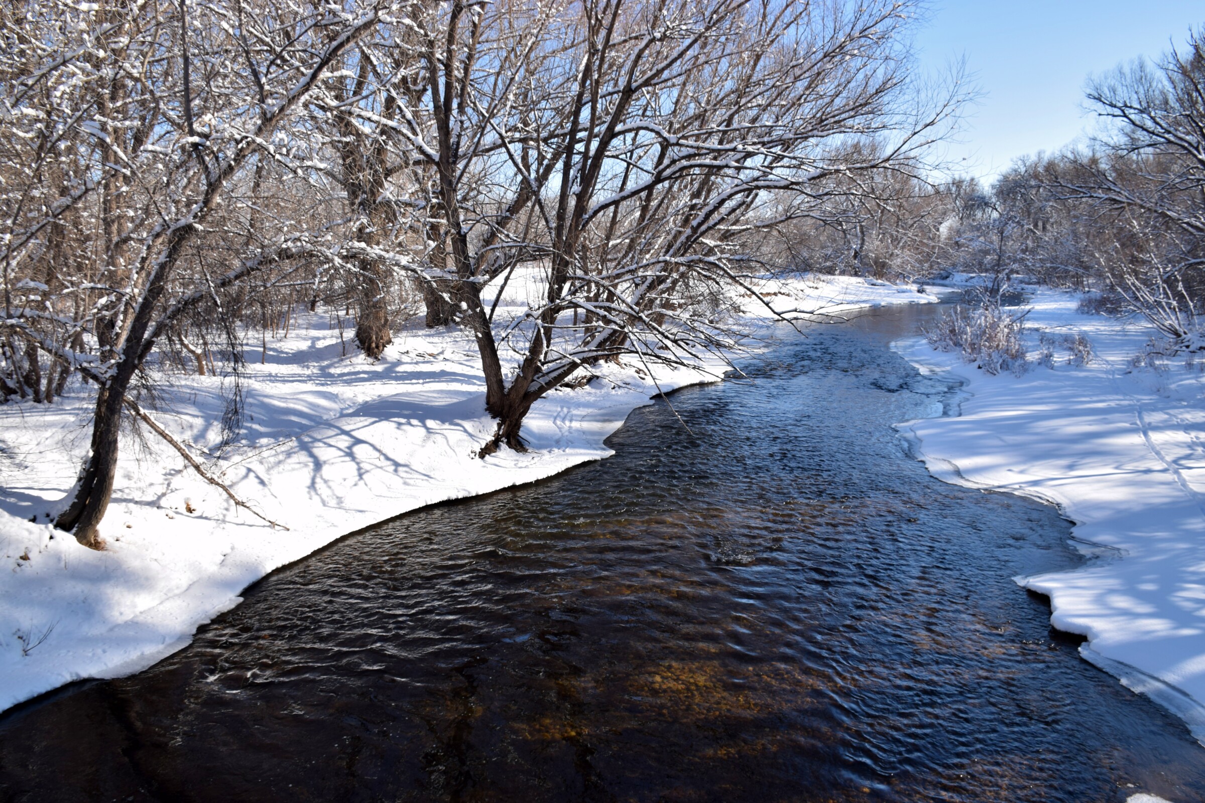 Photo of the Poudre river on a snowy day with snow on the banks of the river and trees without leaves.