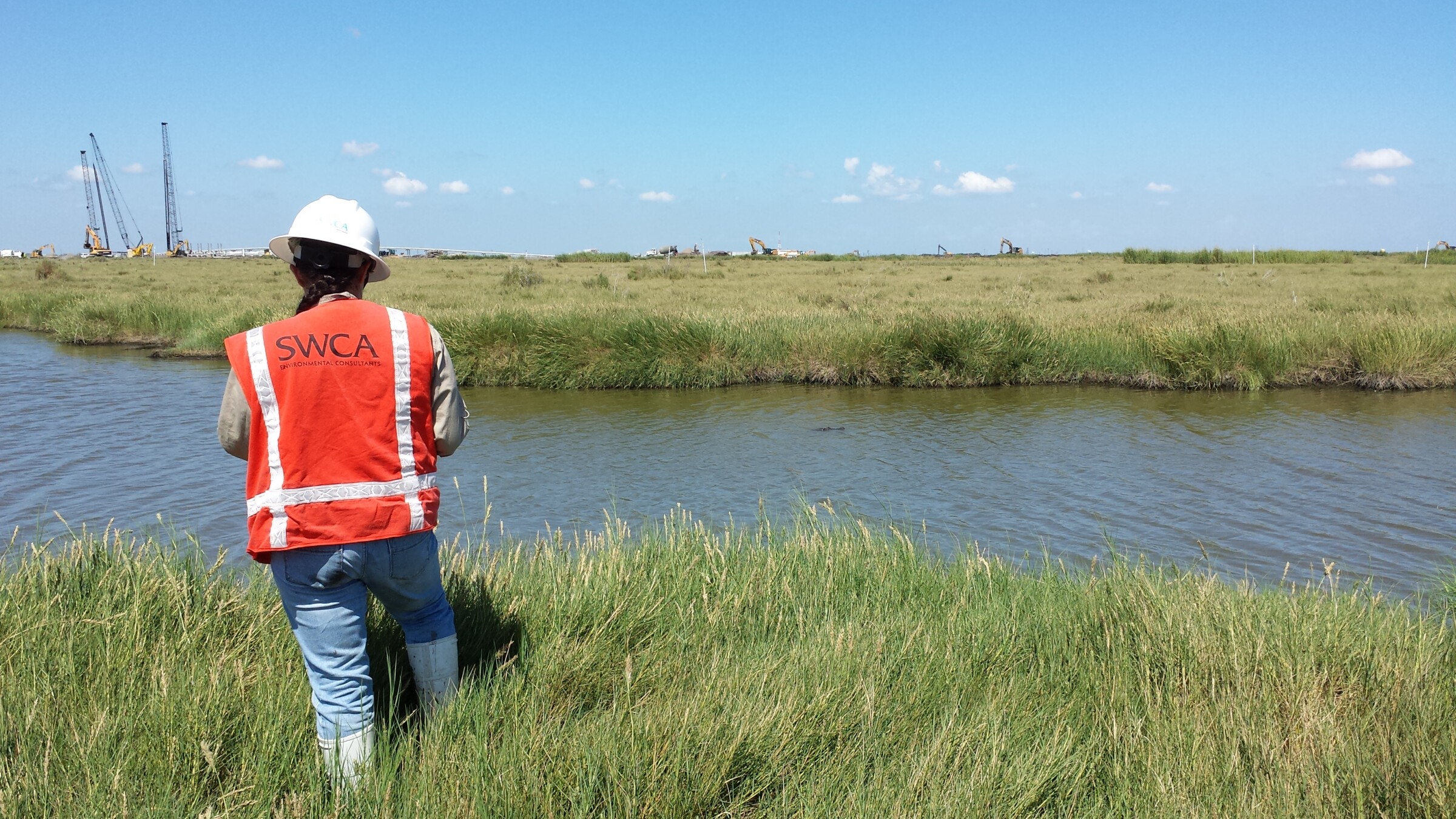 Staff member in jeans and an orange safety vest standing in grass at the edge of wetlands.