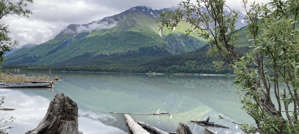 Tree stumps in front of a body of water with mountains in the background.