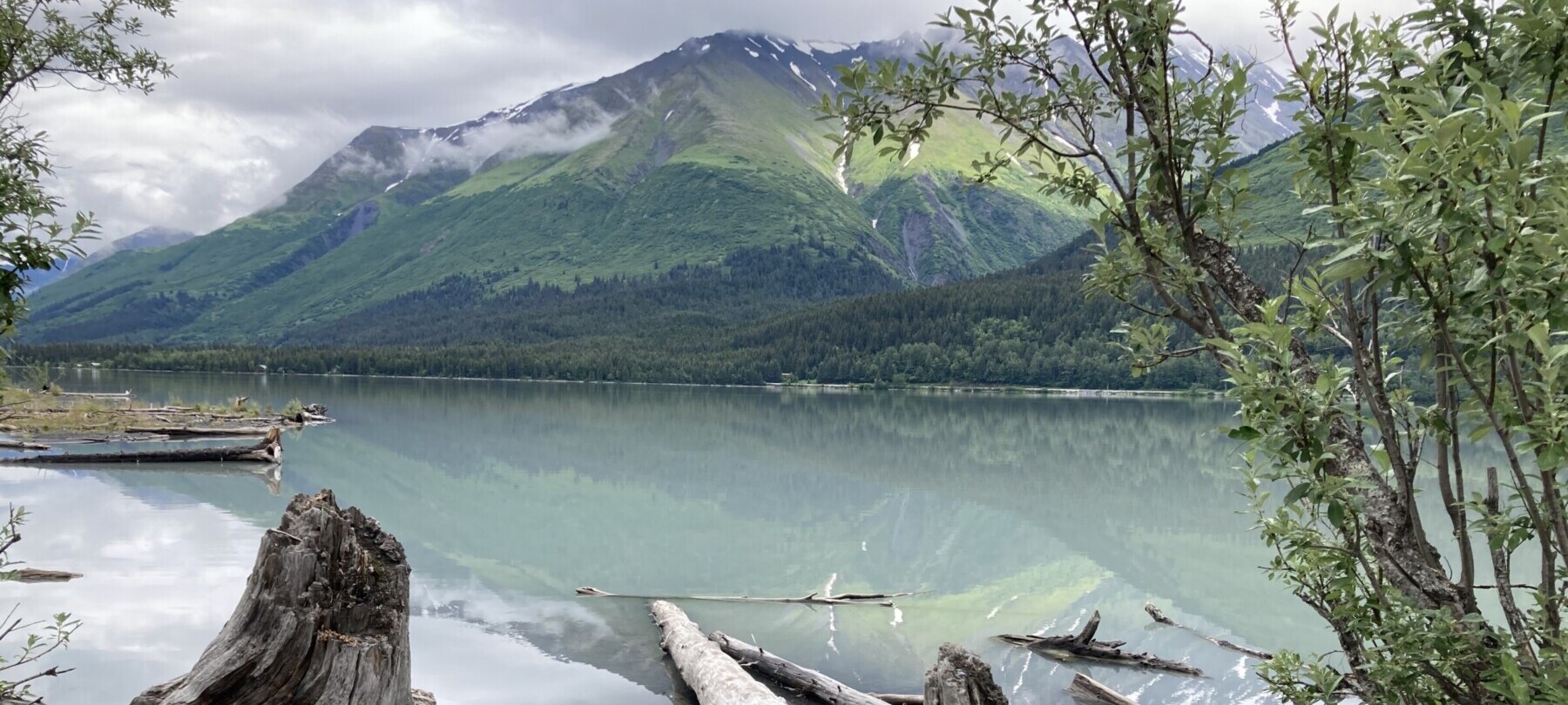 Tree stumps in front of a body of water with mountains in the background.
