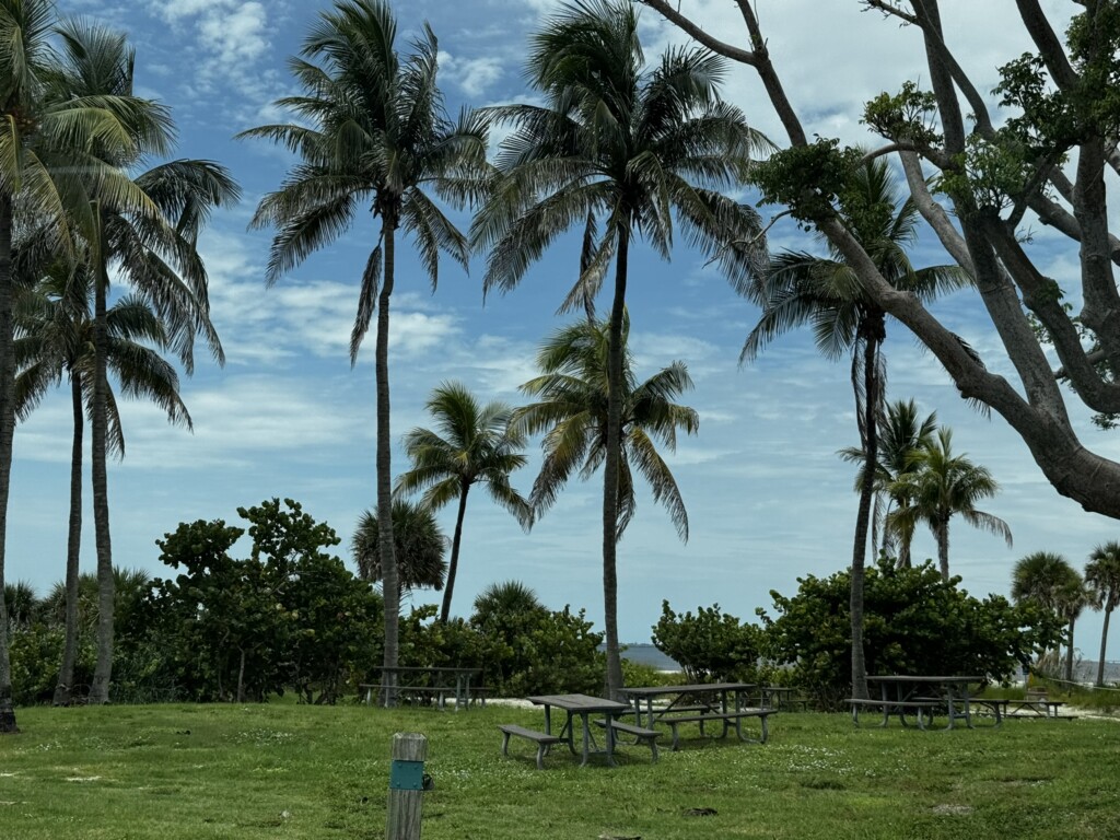 A public park with palm trees, benches and grass at Fort Lee County, Florida.