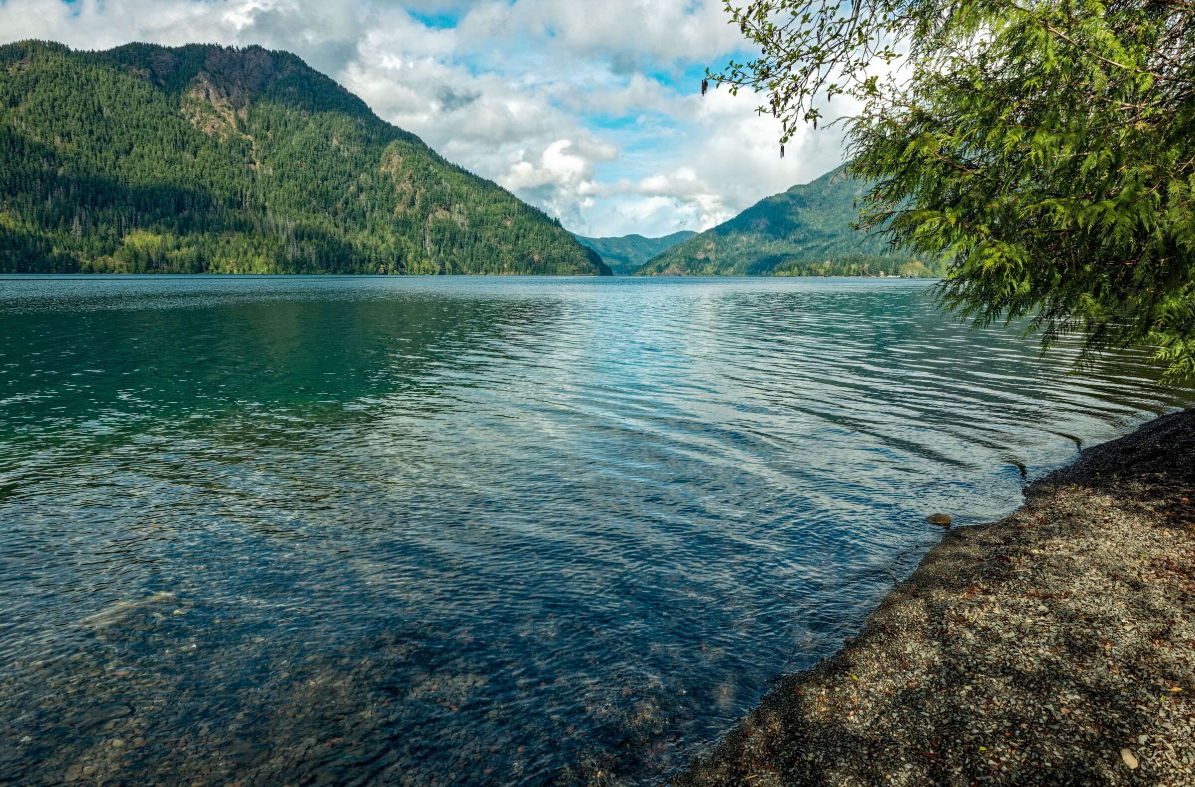 Shoreline view of Lake Crescent in Olympic National Park Washington. In the view you can see mountains covered in vegetation and trees.