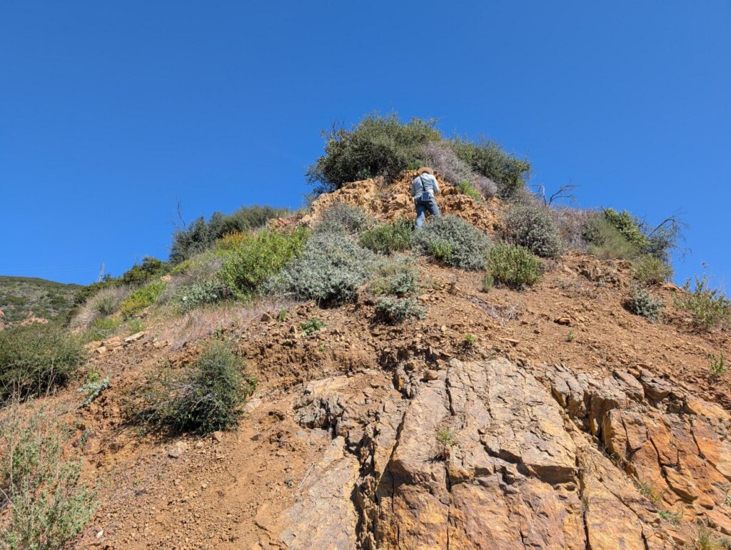 A person standing on the side of a hill with rocks and shrubs around them.