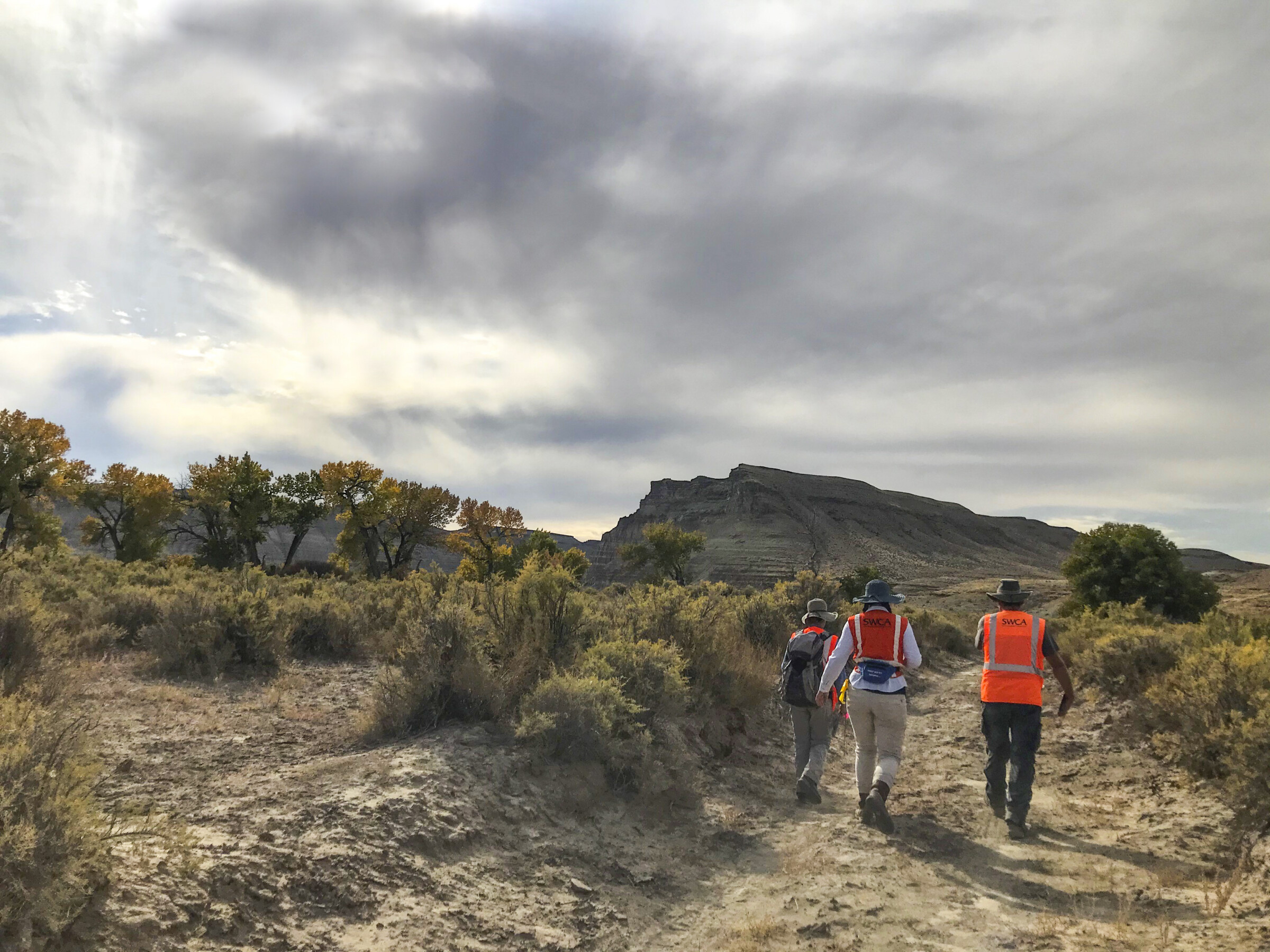 Three employees in safety vests walking through desert scrub vegetation in Utah.