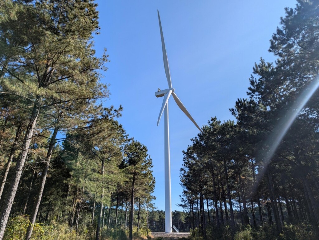 Wind Turbine surrounded by trees