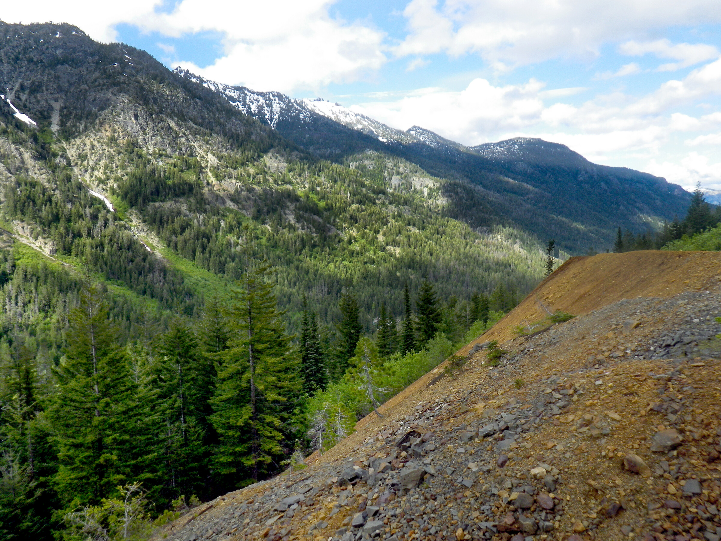 A landscape photo that shows a mountain in the back with snow at the top and tress and vegetation on the side.