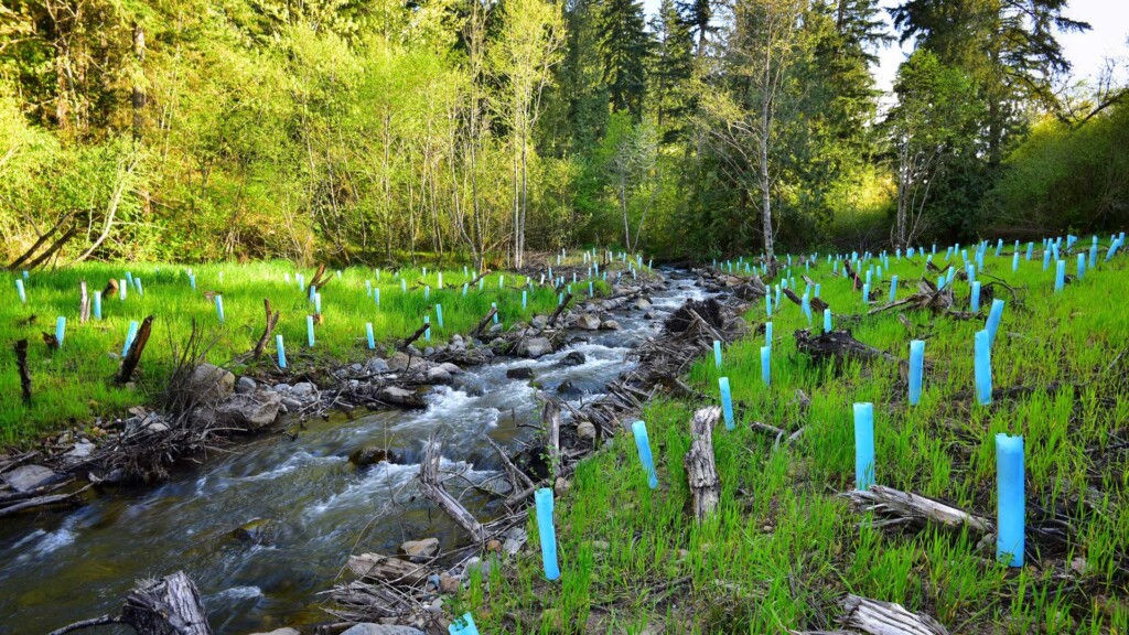 A restored channel with a lot of small blue pipe items lining the areas around the area.