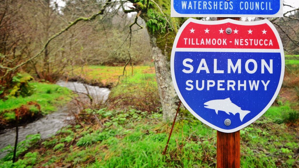 Mill Creek Salmon Superhighway sign.