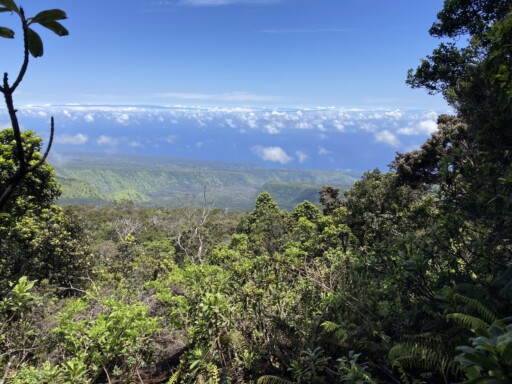 The image depicts a scenic view of a lush, mountainous landscape (Koolau Gap in Waikamoi, Hawai'i).
