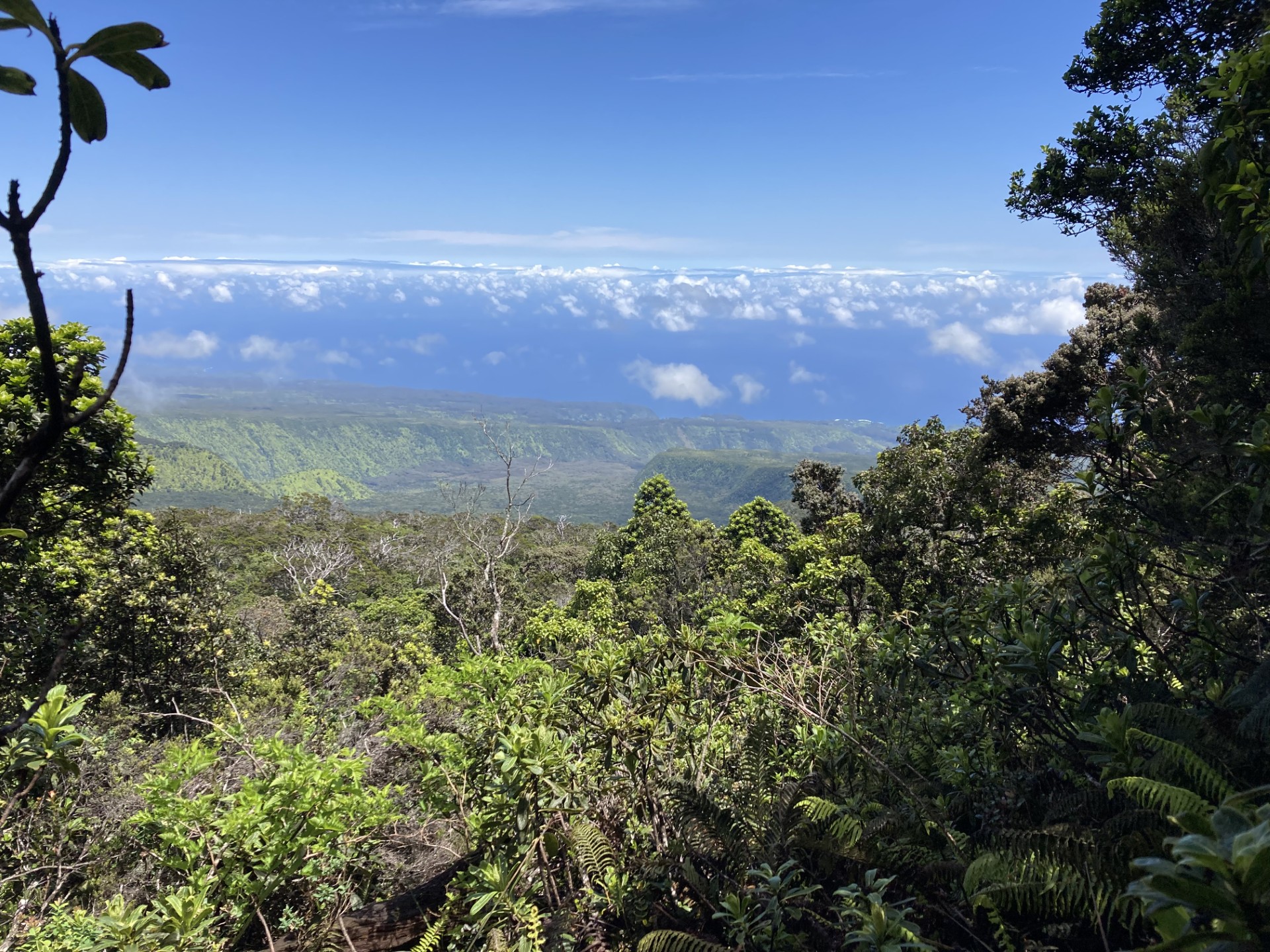 The image depicts a scenic view of a lush, mountainous landscape (Koolau Gap in Waikamoi, Hawai'i).