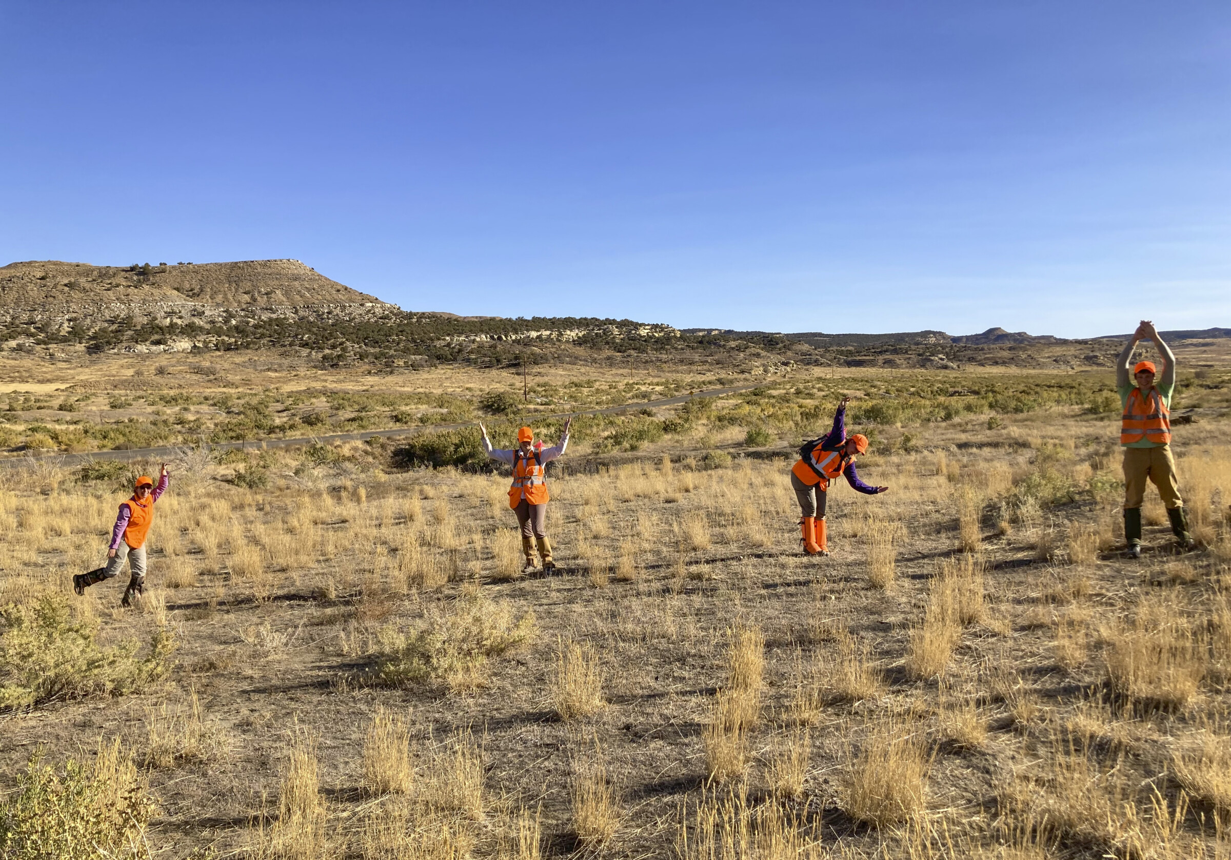 Four people standing up out in a field making the SWCA logo with their bodies.