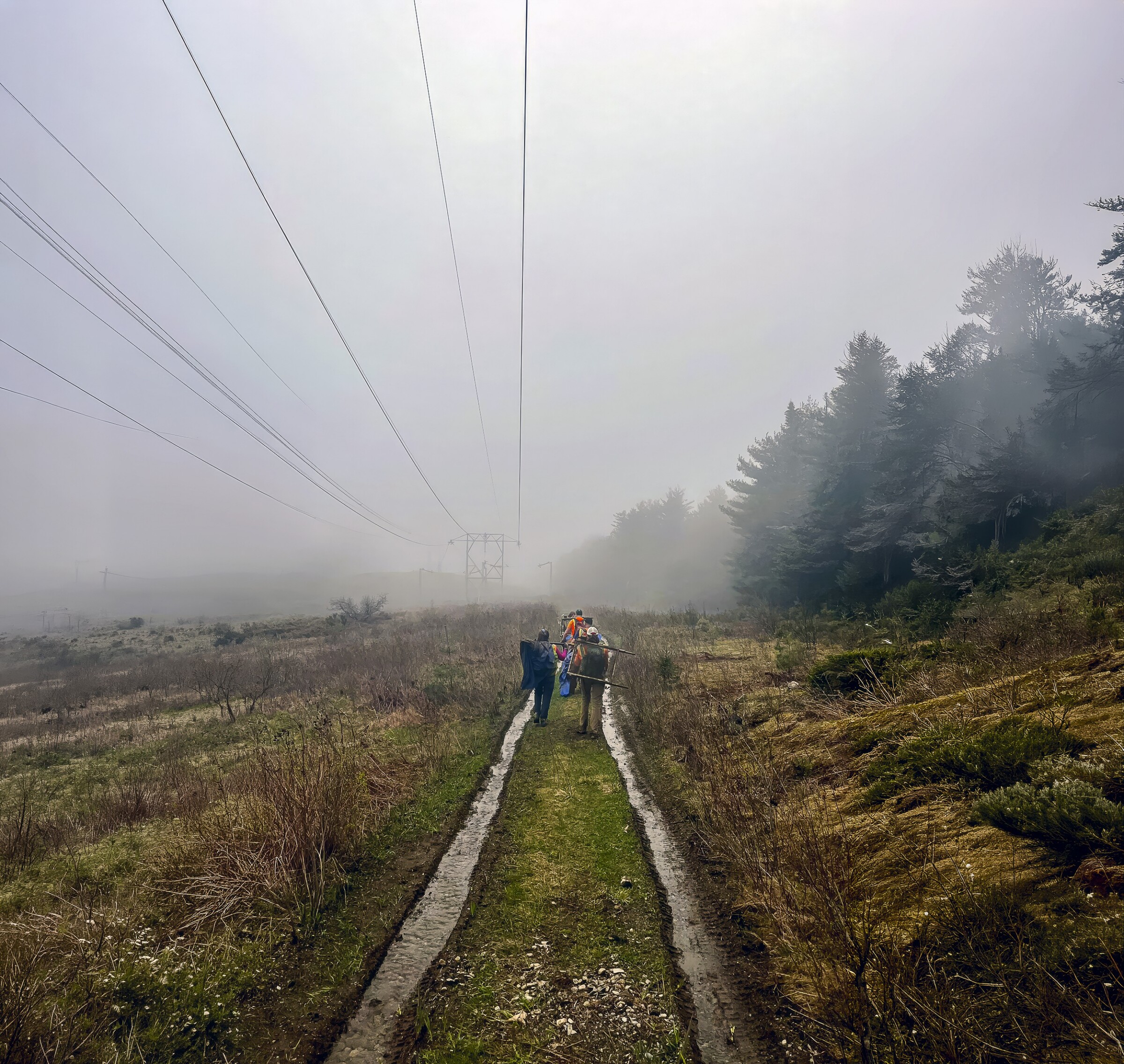 A group of individuals are seen walking along a dirt path with tire tracks under a transmission line.
