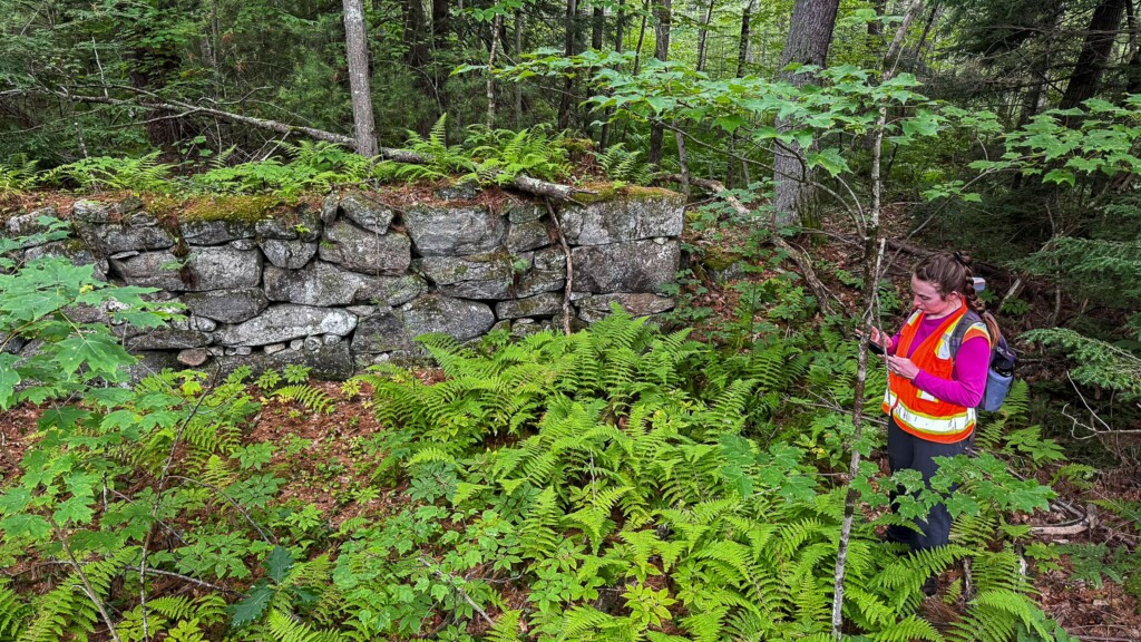A person with a safety vest and tablet seen next to an old stone structure wall in a forest.