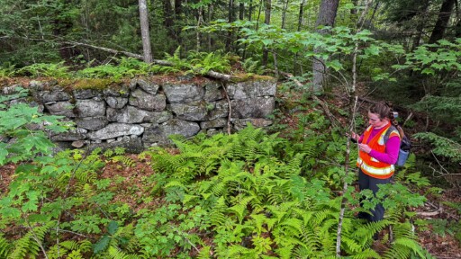 A person with a safety vest and tablet seen next to an old stone structure wall in a forest.