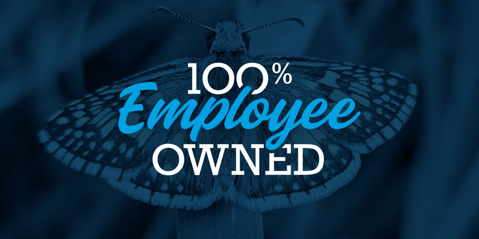 100% Employee Owned graphic of a butterfly with a blue hue background.